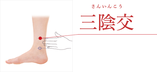 ツボ二十四節気 せんねん灸