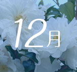 12月