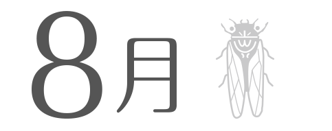 8月という月