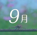 9月